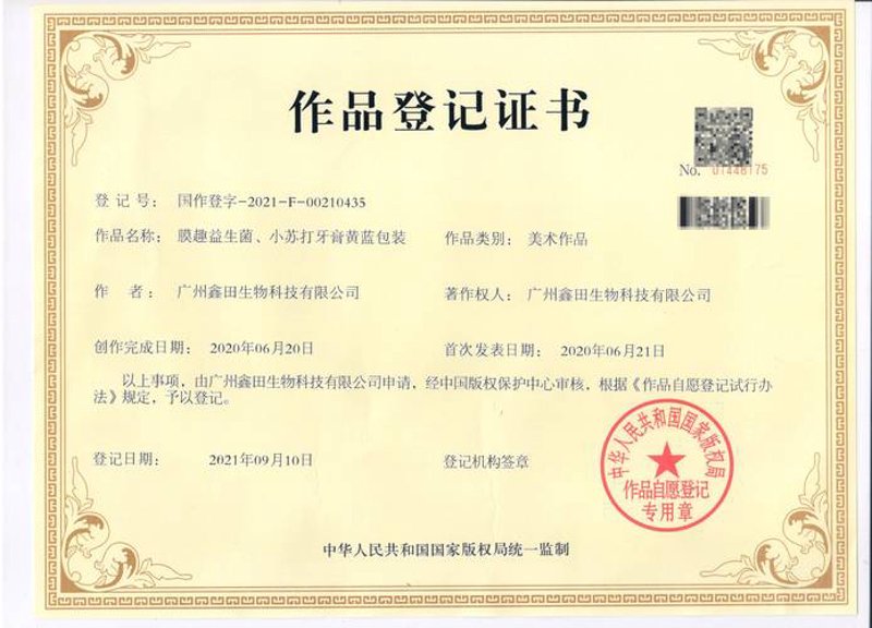版权代理:选择与操作指南